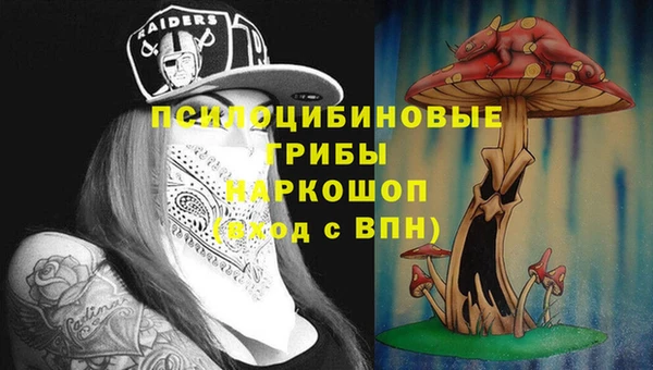 синтетический гашиш Арсеньев
