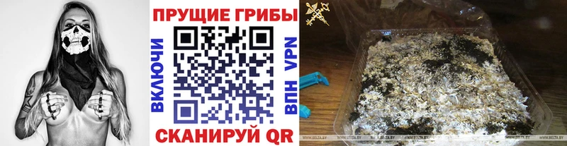 Псилоцибиновые грибы MAGIC MUSHROOMS  Киров 