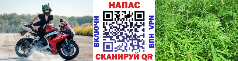 Марихуана конопля Киров